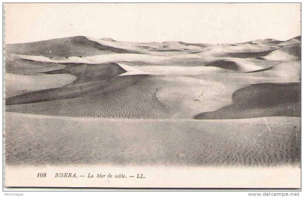 BISKRA - La Mer de Sable
