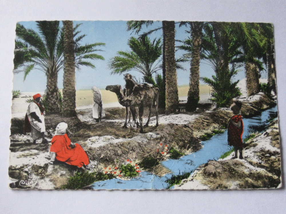 MA45 * afrique algérie biskra dans l'état  dos abimé