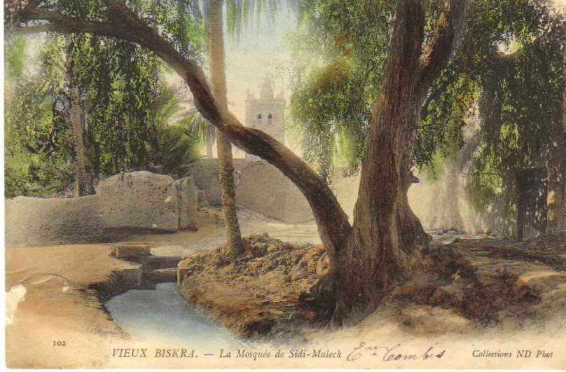 / ALGERIE - VIEUX BISKRA - La Mosquée de Sidi-Maleck