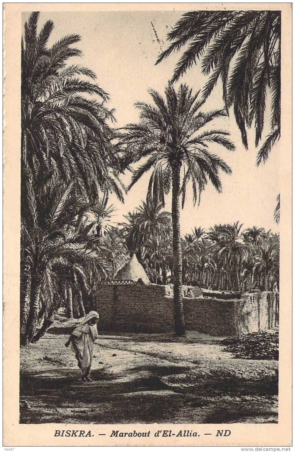 CPA   Biskra Marabout d'El-Allia   (animée)   G280
