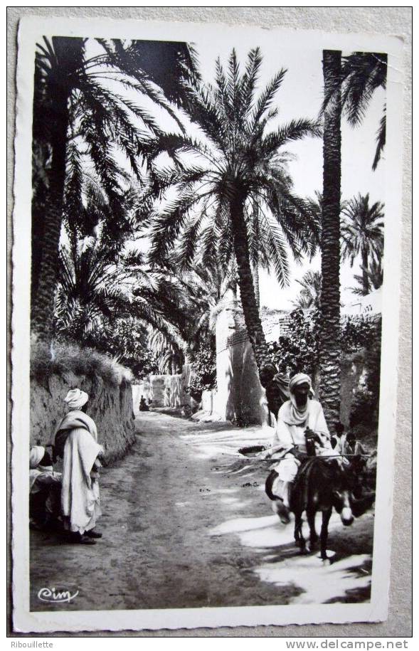 Algérie CP N° AG111 - Biskra - CPSM/E