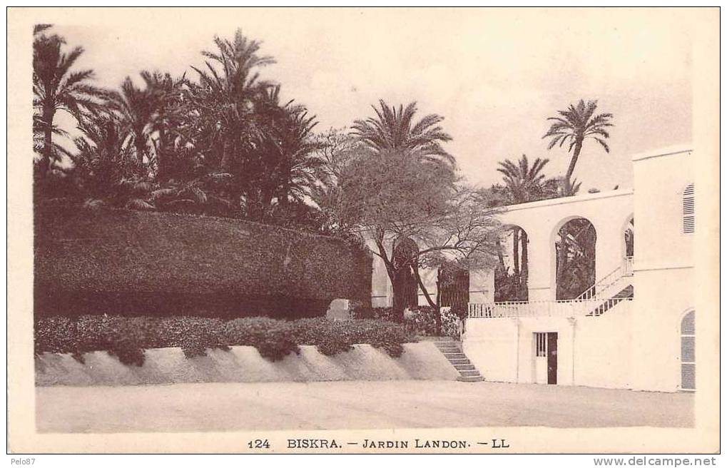 CPA   Biskra Jardin Landon    E507