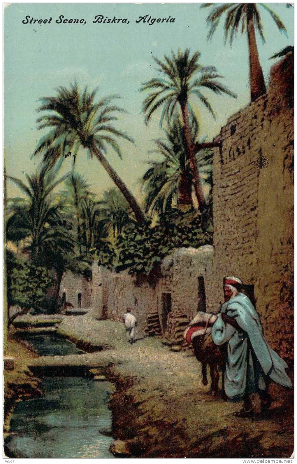 CPSM (format cpa)   Street scene Biskra   (animée)   R836