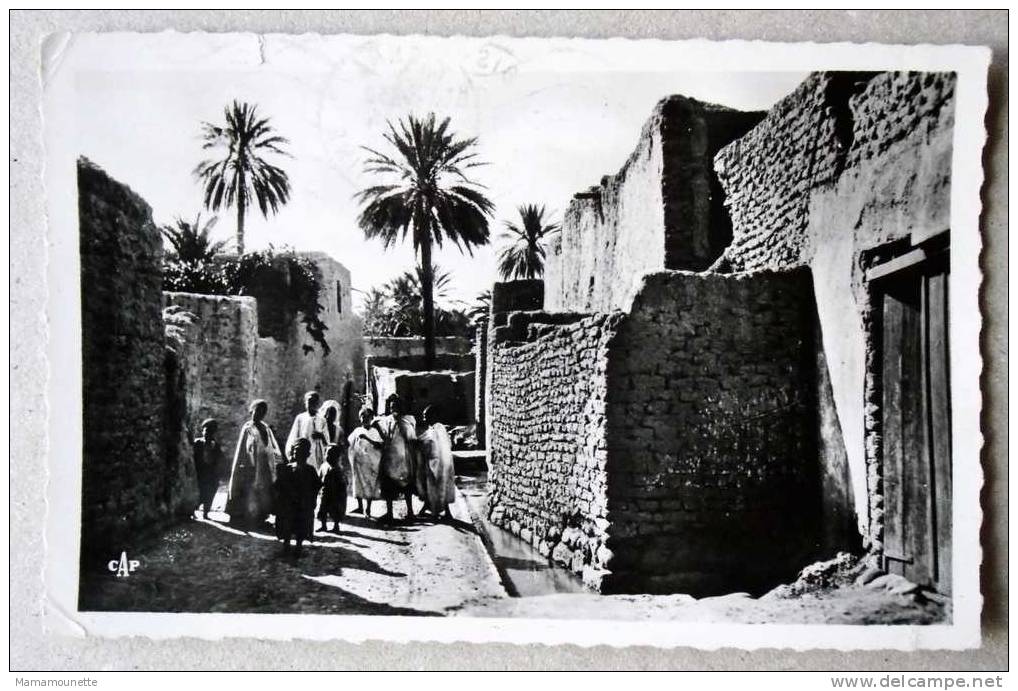 Algérie - CP N° 144F - Biskra, une Rue du Vieux Biskra (état) - CPSM/E en 1954