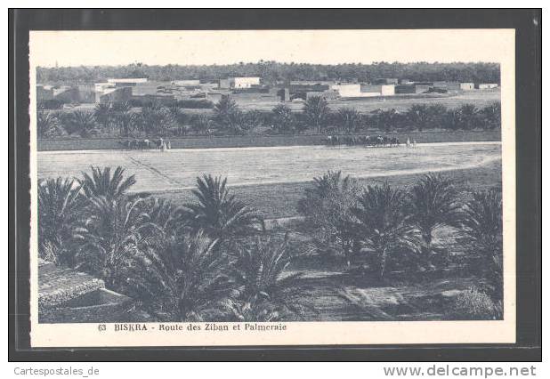 CPA Biskra, Route des Ziban et Palmeraie