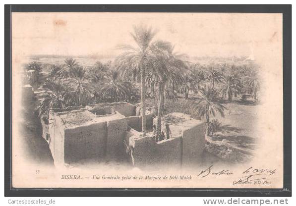 CPA Biskra, Vue Generale prise de la Mosquee de Sidi-Malek