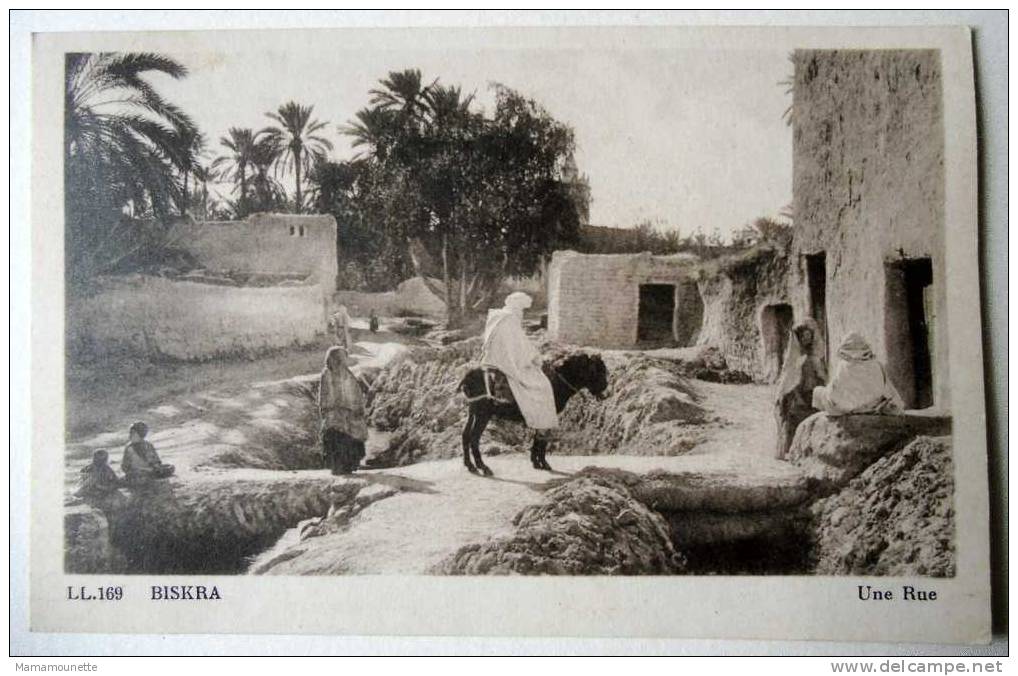 Algérie - CP N° 397G - Biskra, Une Rue, âne, ... - CPSM/N (état dos)