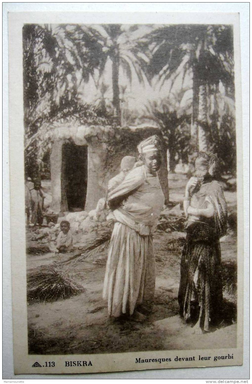 Algérie - CP N° 399G - Biskra, Mauresques devant leur Gourbi - CPSM/N (état dos)