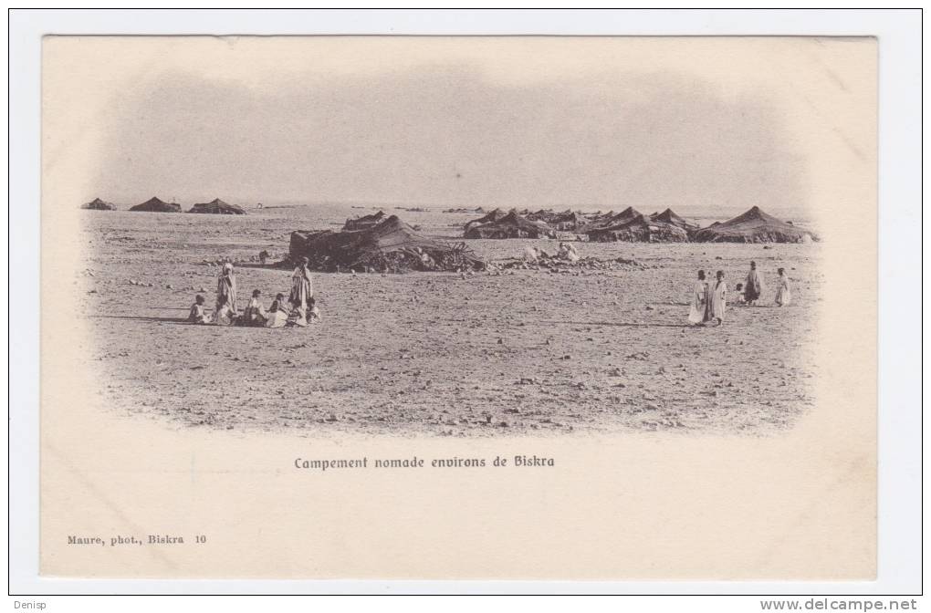 biskra  campement nomade environs de biskra