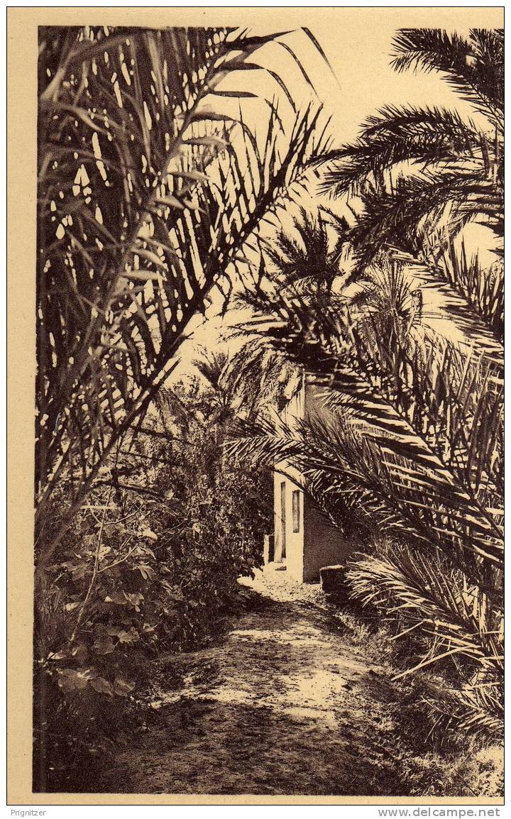 ALGERIE / ALGERIEN      Biskra  EL Kheloua   Le chemin de palmes