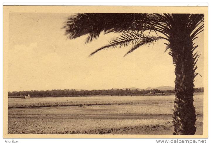 ALGERIE / ALGERIEN      Biskra  EL Kheloua