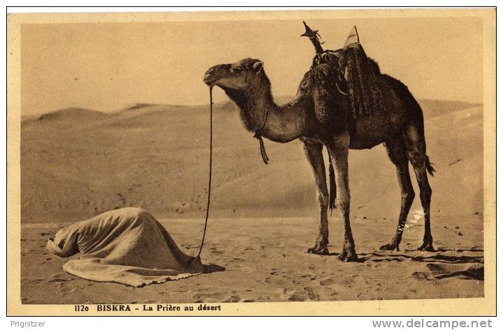 ALGERIE / ALGERIEN   Biskra  La Priere au desert
