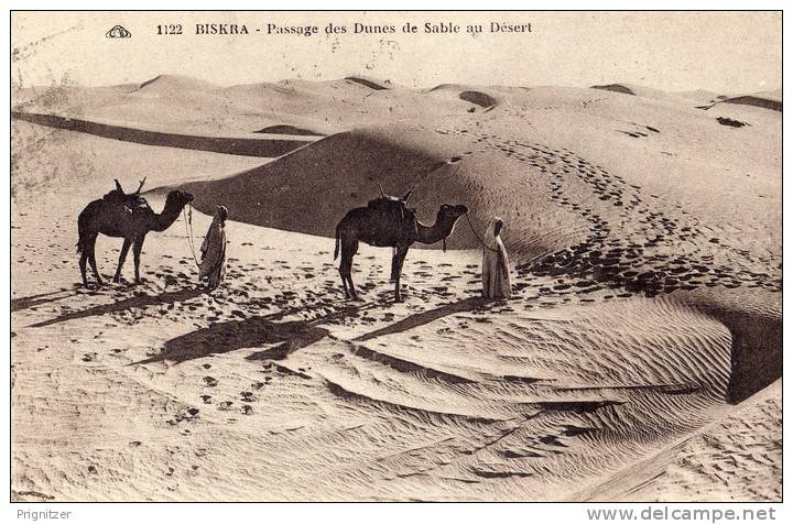 ALGERIE / ALGERIEN   Biskra  Passage des Dunes de Sable au Desert