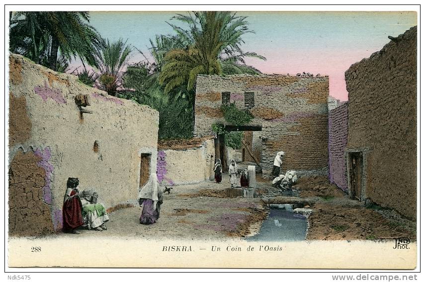 ALGERIE  BISKRA - UN COIN DE L´OASIS