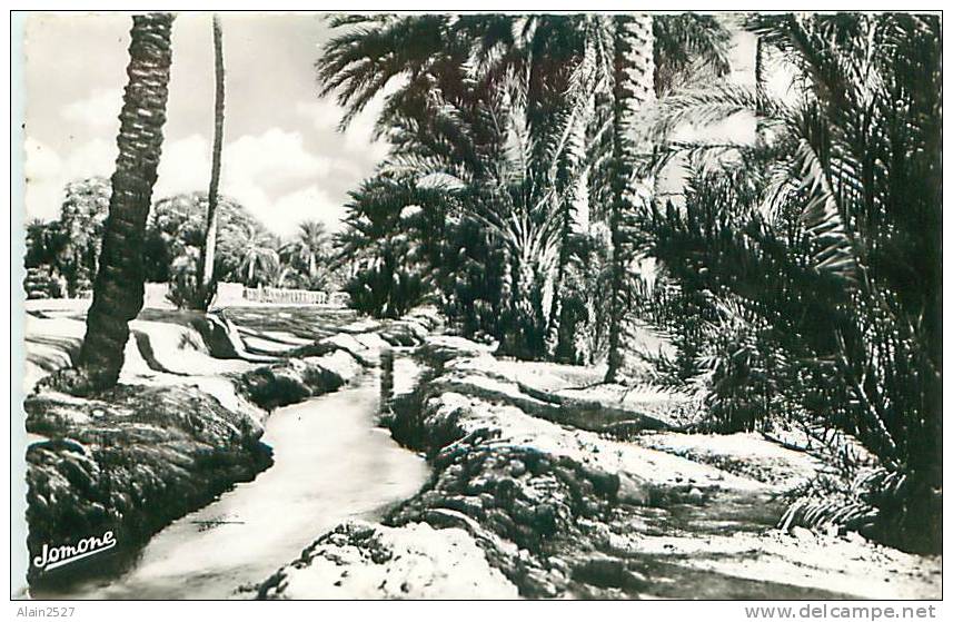 BISKRA - Une Seghia dans la Palmeraie (Ed. Jomone, 68)