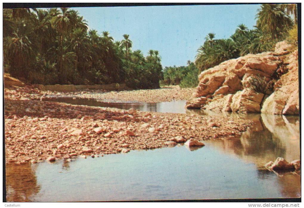 BISKRA-LE CANON DE L'OUED EL-ABIOD