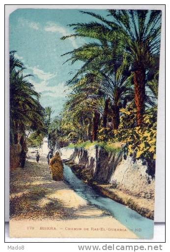 cpa  Biskra Algérie animée - Chemin de Ras el Guerria  -