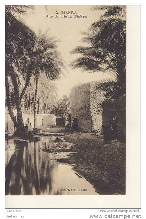 biskra rue du vieux biskra cpa bon état