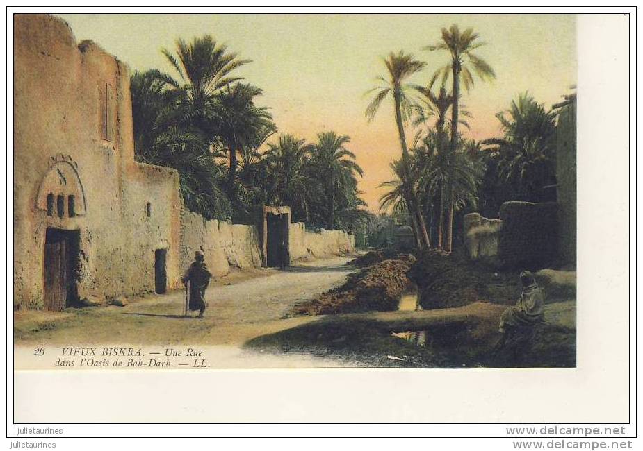 biskra une rue dans l´oasis de bad-darb cpa bon état