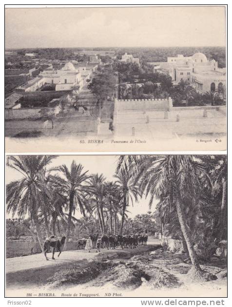 1 LOT DE 2 CPA JAMAIS CIRCULEES BISKRA PANORAMA DE L OASIS ET ROUTE DE TOUGGOURT