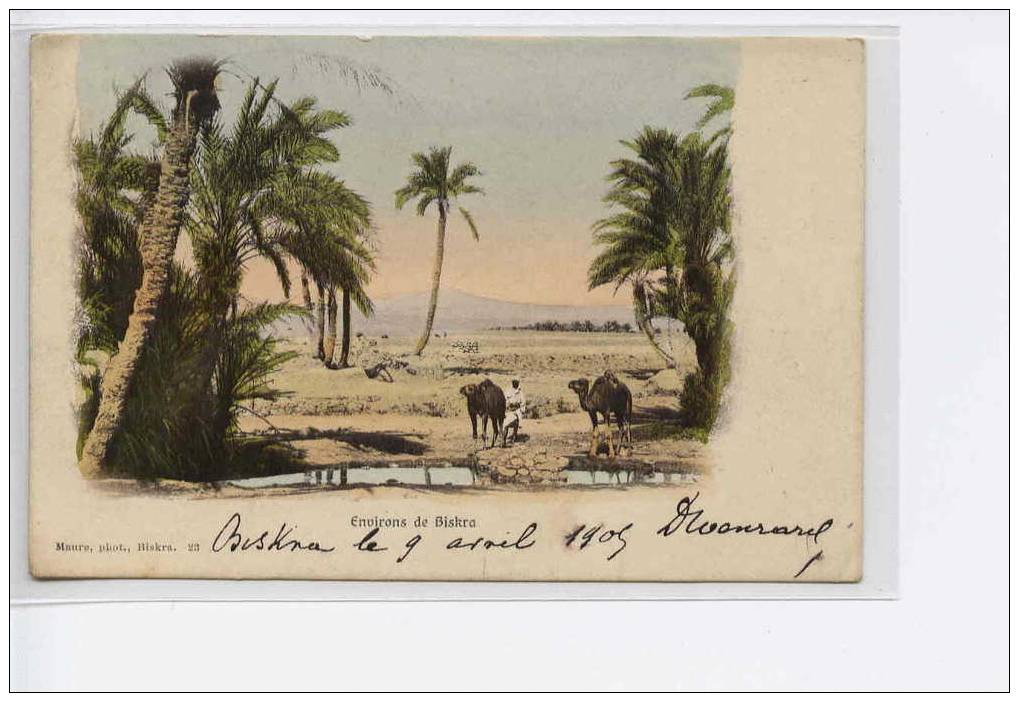 BISKRA - environs de biskra