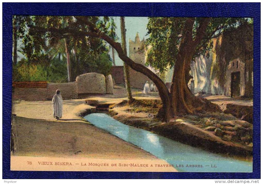 ALGERIE / ALGERIEN / ‏ال 80;زائ& #1585;    Vieux Biskra La Mosquee de Sidi Malecr