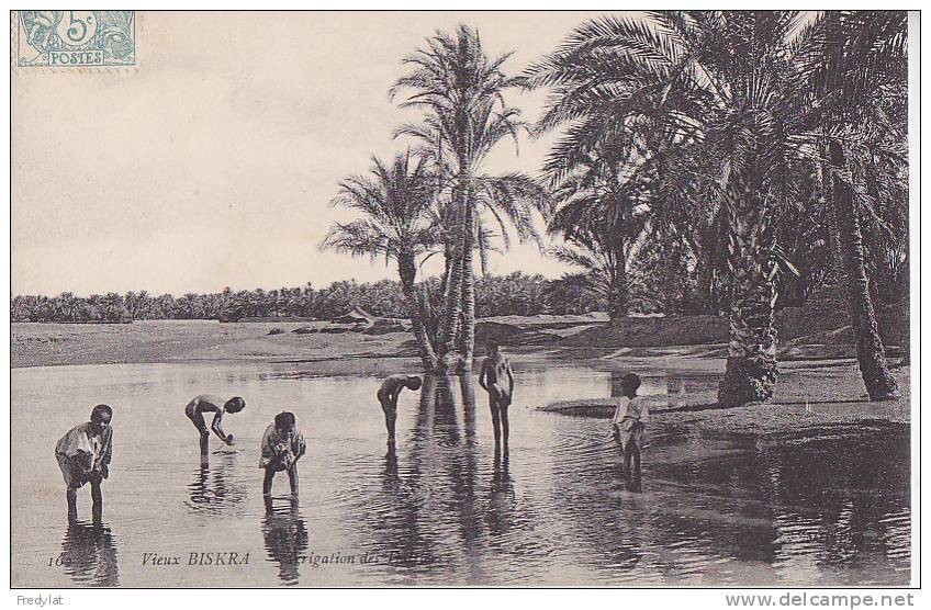 G- BISKRA  IRRIGATION DES DATTIERS CPA CIRCULEE