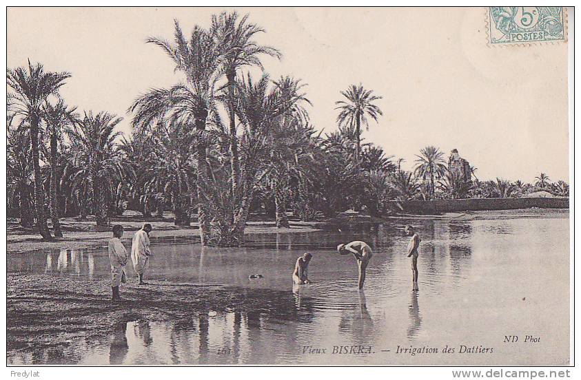 G- BISKRA  IRRIGATION DES DATTIERS CPA CIRCULEE