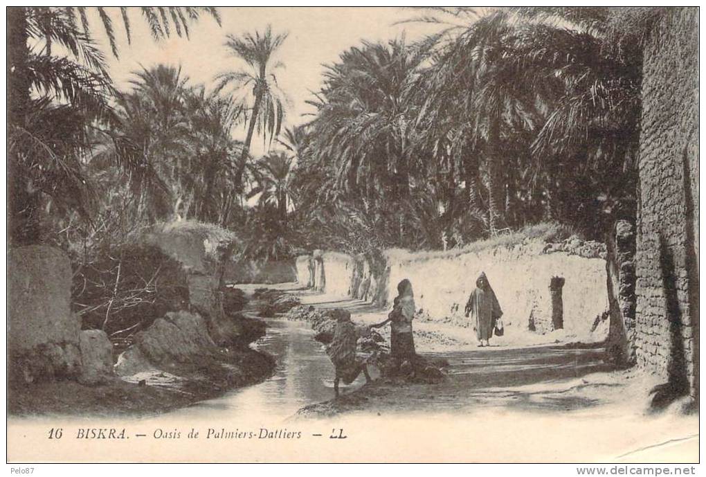 CPA     Biskra Oasis de palmiers dalliers    (animée)    H609