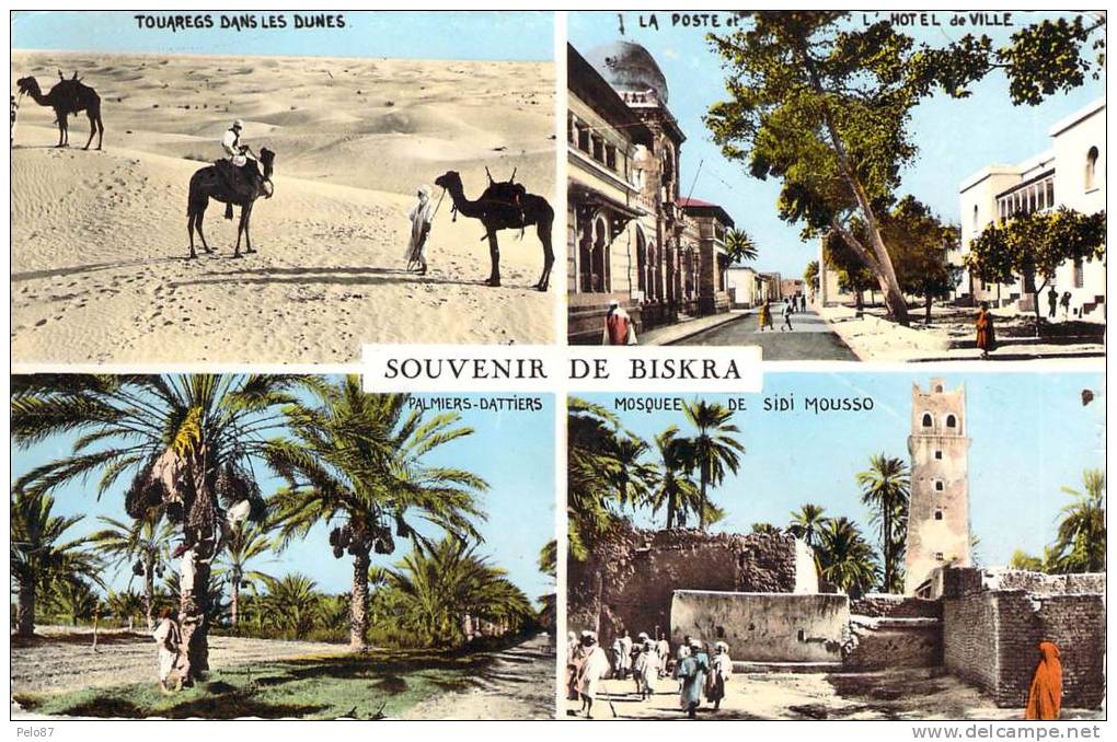CPSM (format cpa)    Souvenir de Biskra    (animée)    ZZ 460