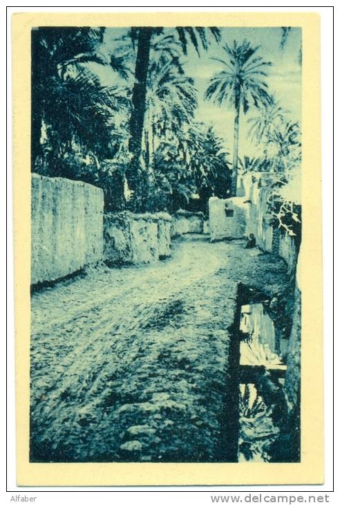 BISKRA  Dans le Vieux Biskra.