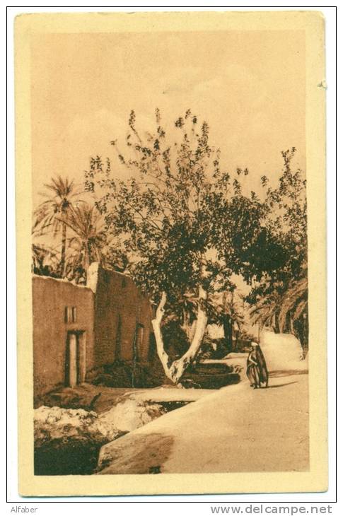 BISKRA  Dans le Vieux Biskra.