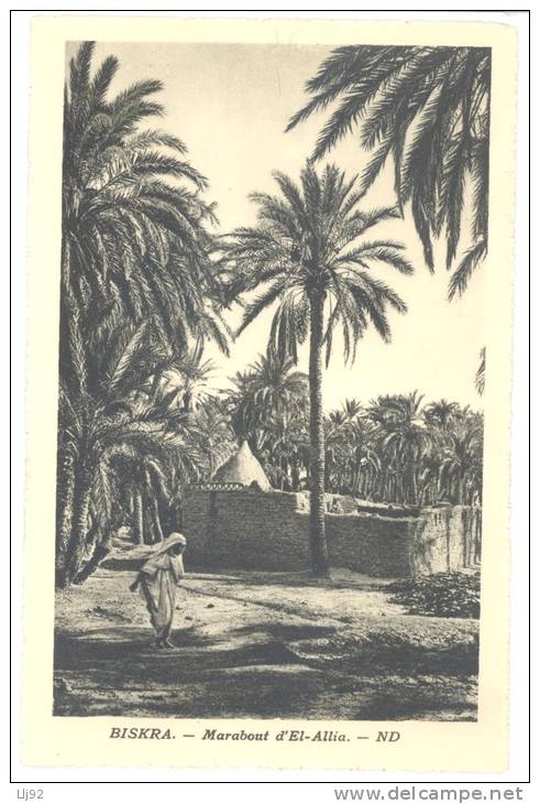 CPSM ALGERIE - BISKRA - Marabout d'EL ALLIA - ND - Animée