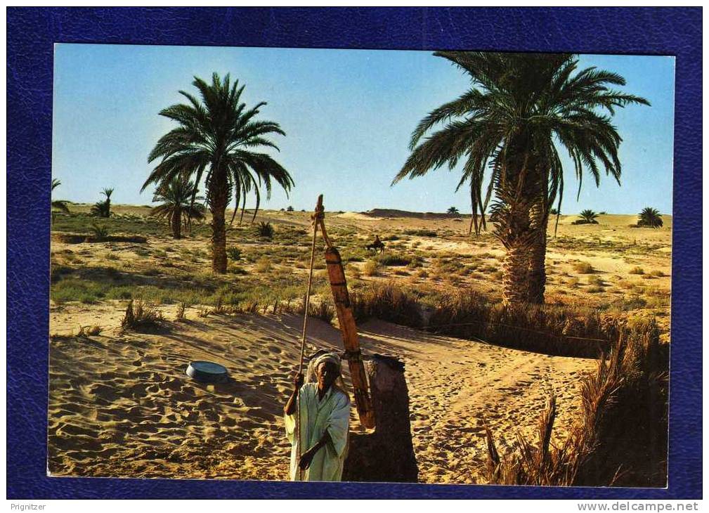 ALGERIE / ALGERIEN / الجزائر     Biskra Scenes et Types