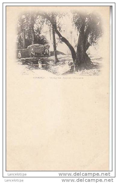 ALGERIE - BISKRA / MOSQUE ABD-EL-MOUMEN