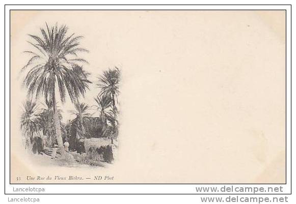 ALGERIE / UNE RUE DU VIEUX BISKRA