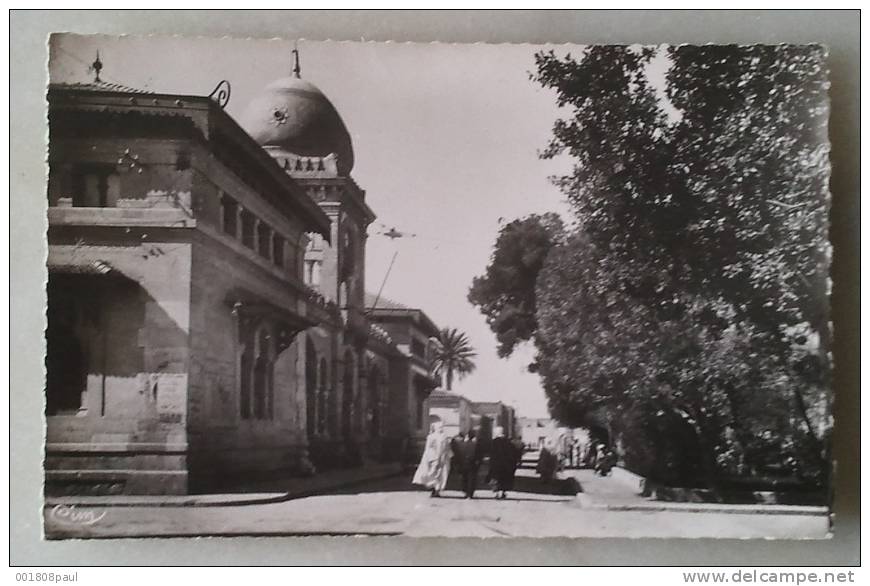 biskra - ( constantine ) - l'hôtel de ville   animation