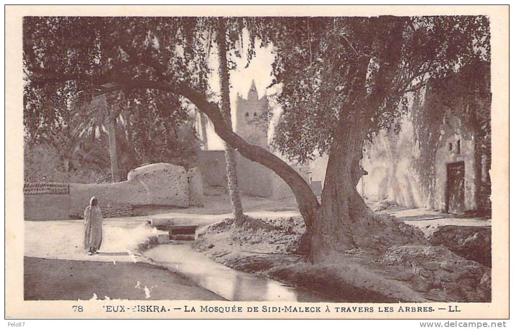 CPA   Vieux Biskra La mosquée de Sidi Maleck   F350