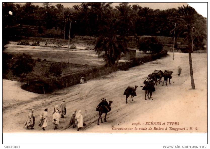 cpa Algérie Caravane sur la Route de Biskra à Touggourt Scène Animée Chameau