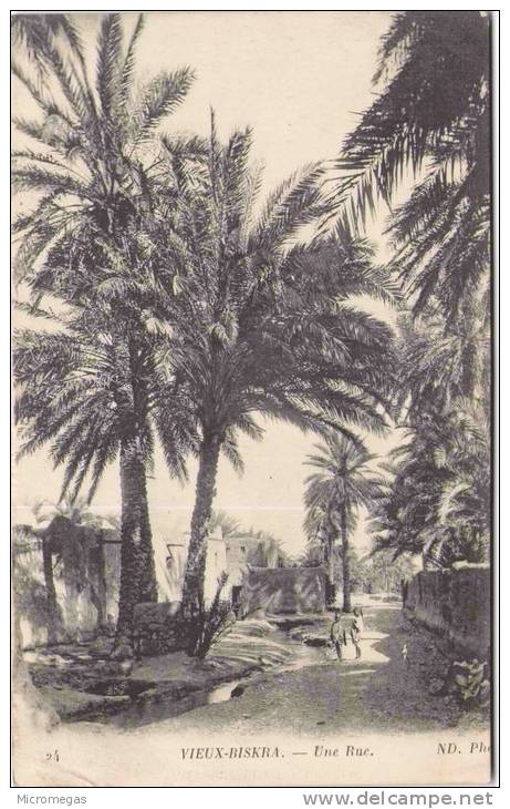 VIEUX-BISKRA - Une Rue