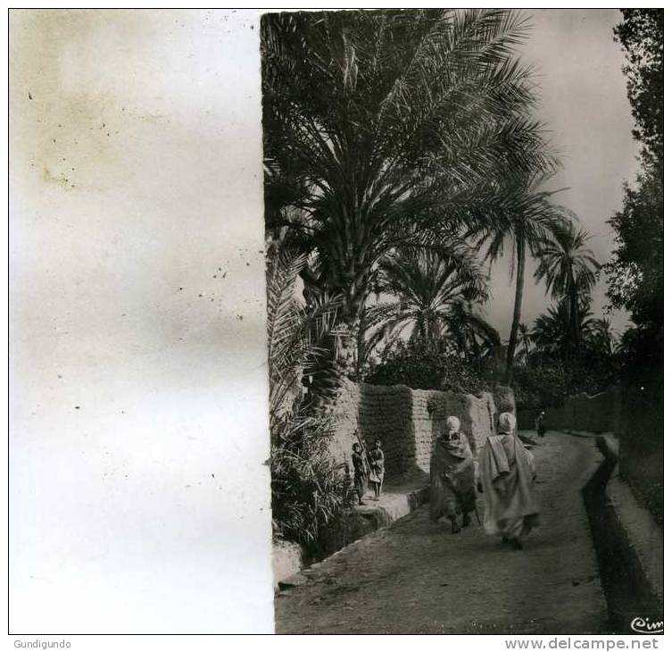 Biskra   -Constantine-En Flanant  dans l'Oasis  Animée