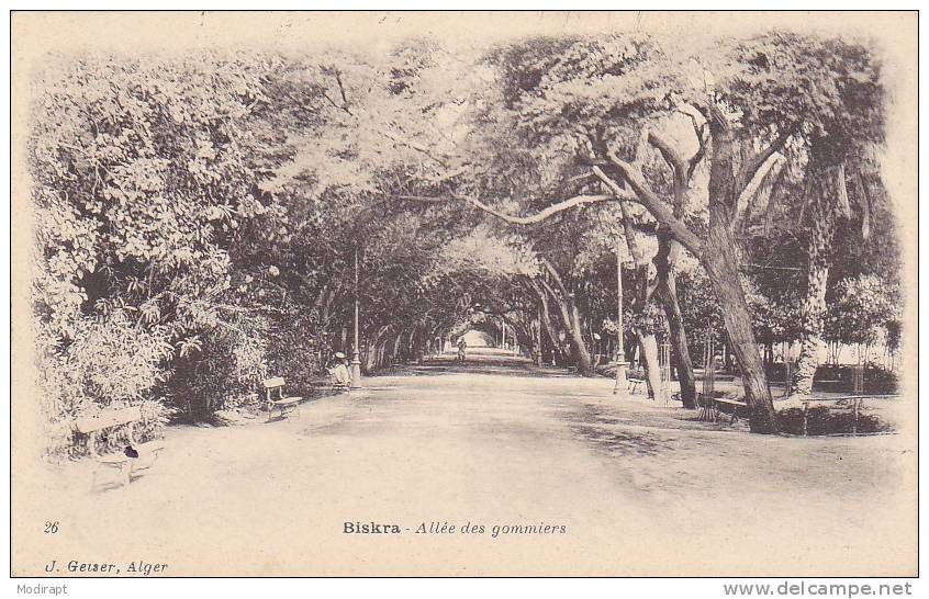 §§ BISKRA  allée des GOMMIERS  ... §§