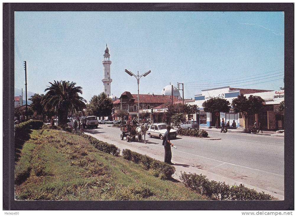 Algérie  BISKRA  Centre ville  1988