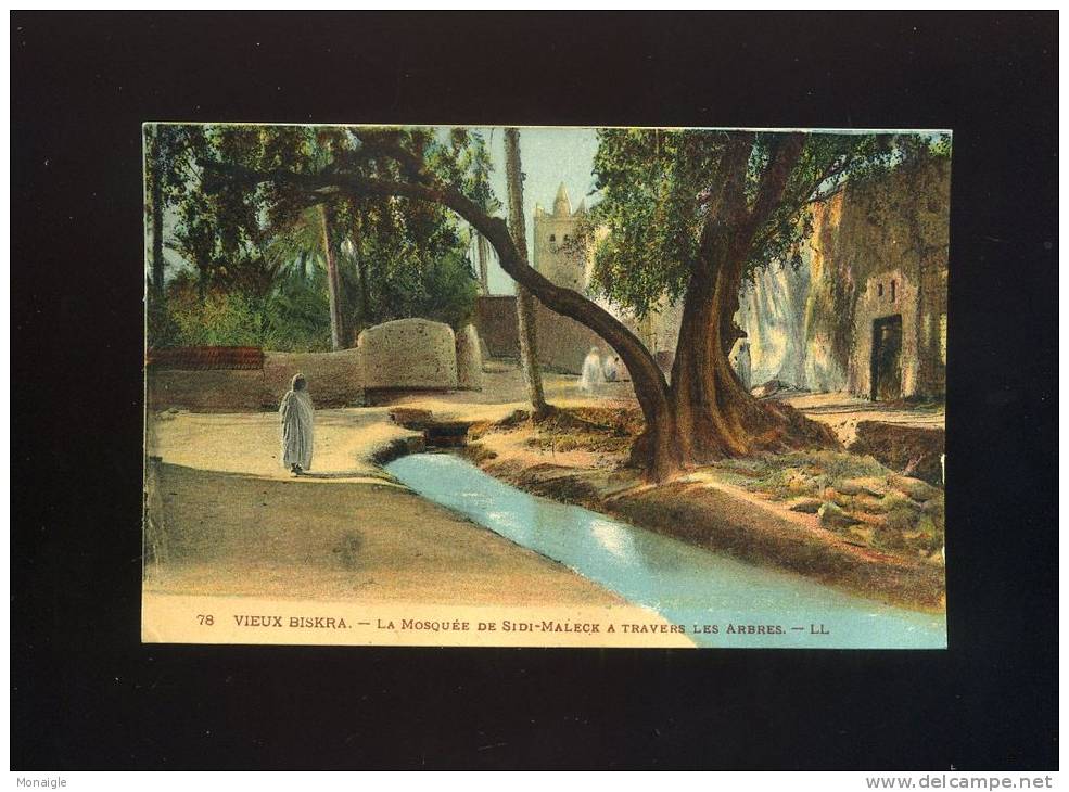 CPA ALGERIE VIEUX BISKRA LA MOSQUEE DE SIDI MALECK  LL