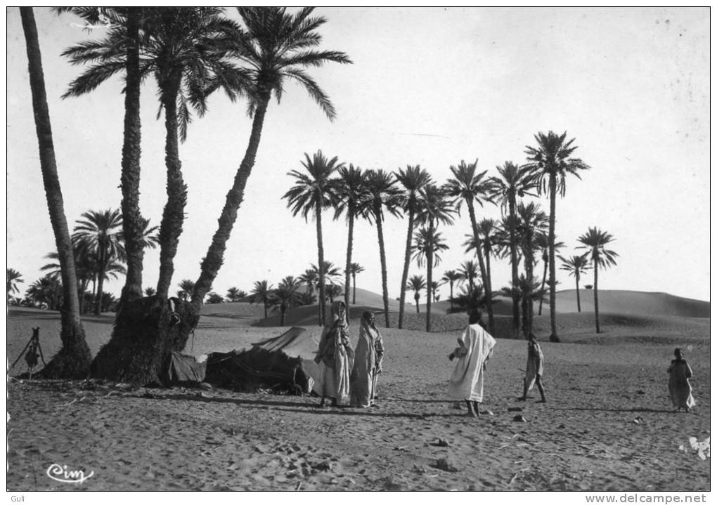 Algérie >  BISKRA (Constantine) Dans la Palmeraie (Cpsm - Editions Combier /CIM 1195)* PRIX FIXE