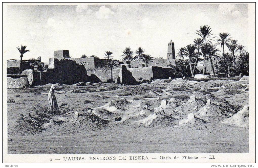 BISKRA L´Aures environ de Biskra--Oasis Filiacke.
