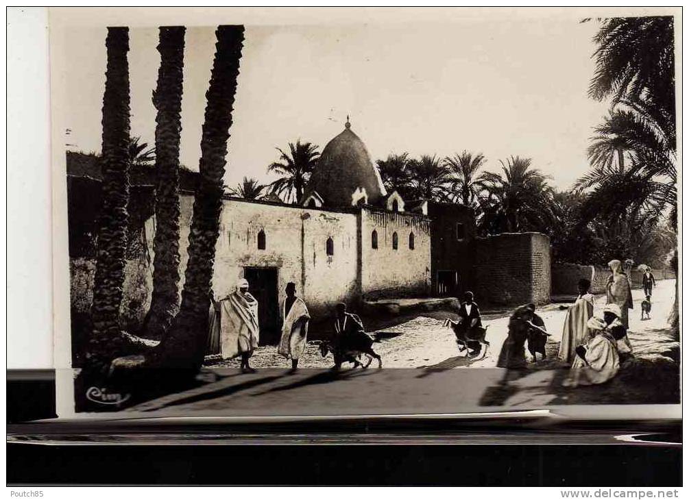 4O56  BISKRA        CH OU  PAYPAL  AVEC LEURS   FRAIS