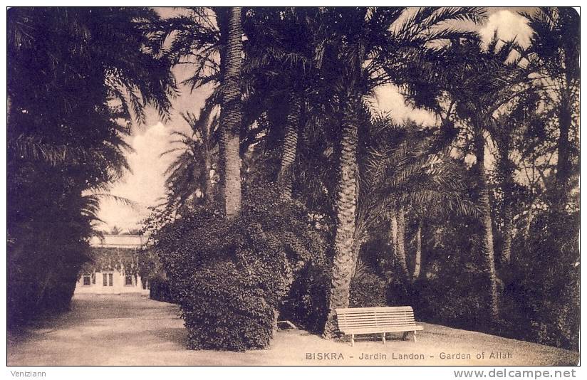 BISKRA - Jardin Landon