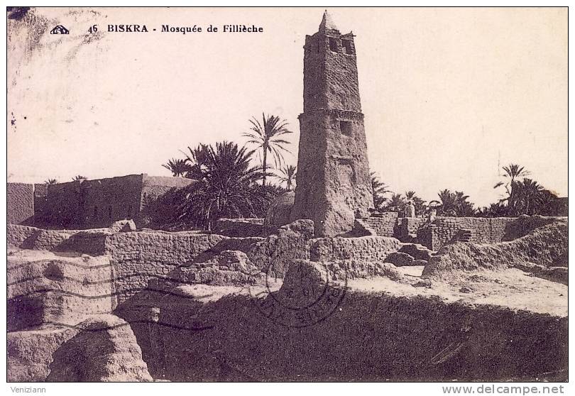 BISKRA - Mosquée de Fillièche