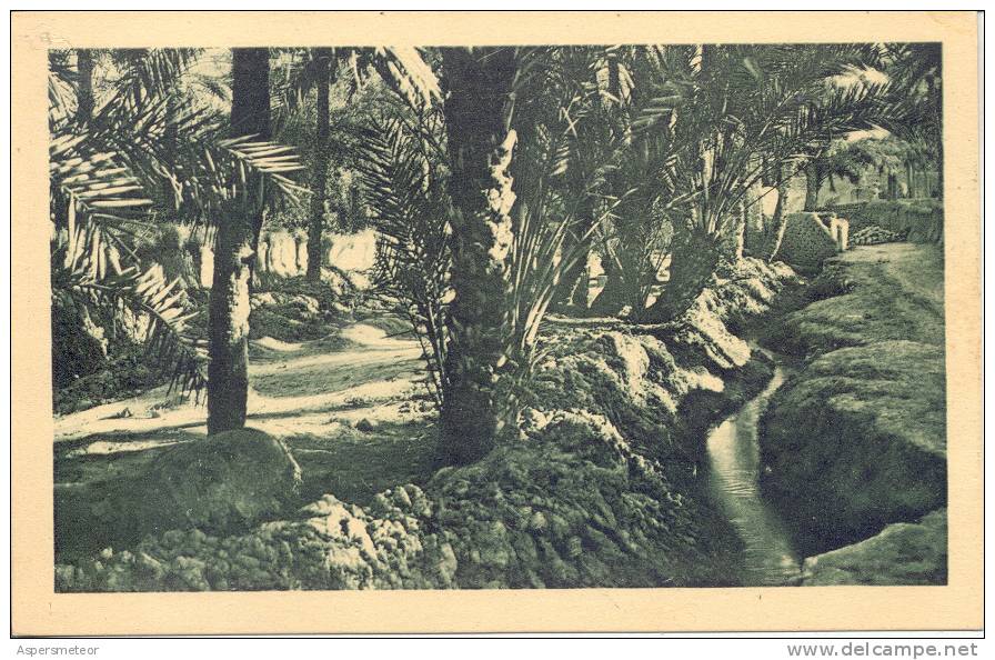 ARGELIA, ALGER. DANS LE VIEUX BISKRA CPA RARE CIRCA 1935 NON CIRCULEE TBE TOP CARTE CUAC